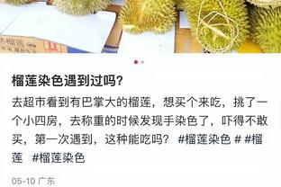 开云在线官方入口截图0